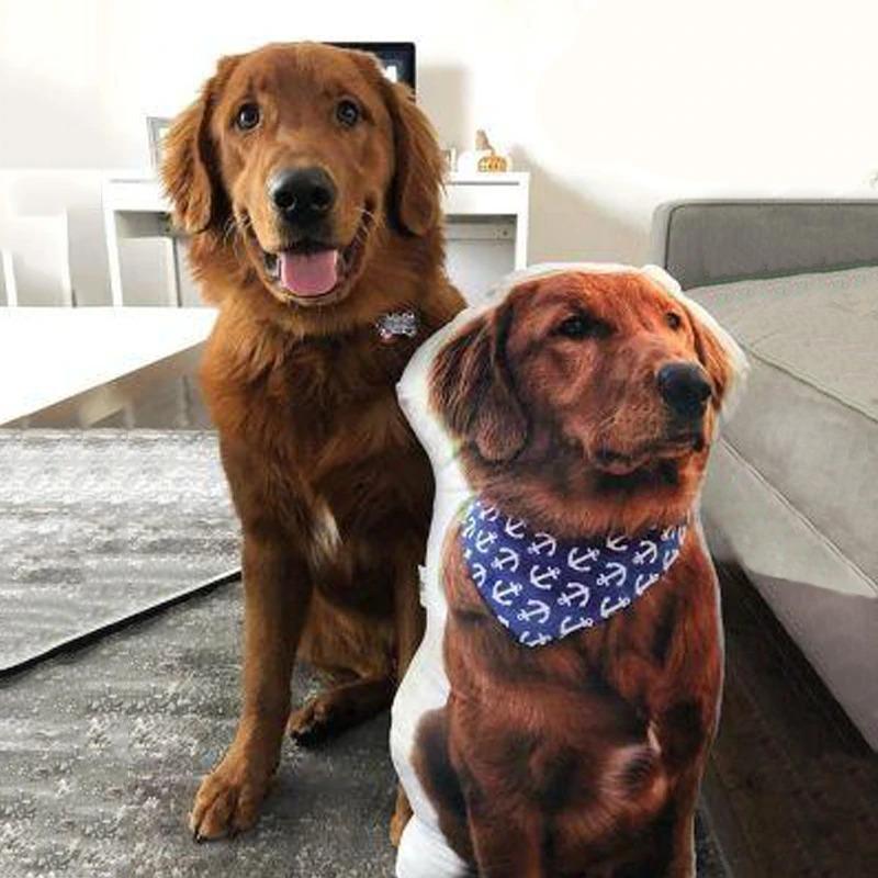 Custom Dog Pillow Dog Photo Pillow Personalized Pet Pillows Cat Pillow