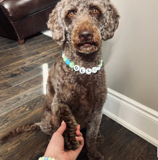 Personalized Pet Name Necklace �C Comes with a Free Matching Bracelet