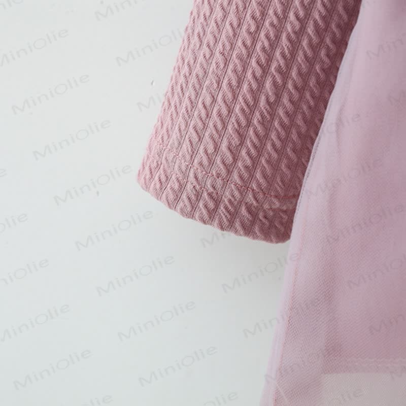 Baby Girl Love Mesh Dress - image 3