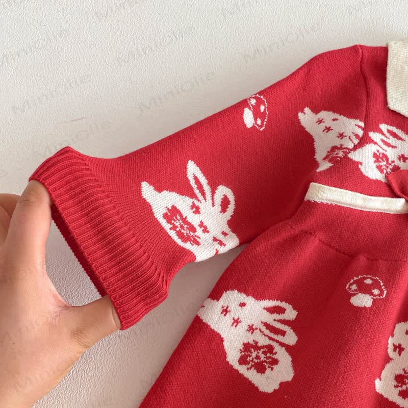 Baby Toddler Girl Red Bunny Knit Bow Dress - image 5