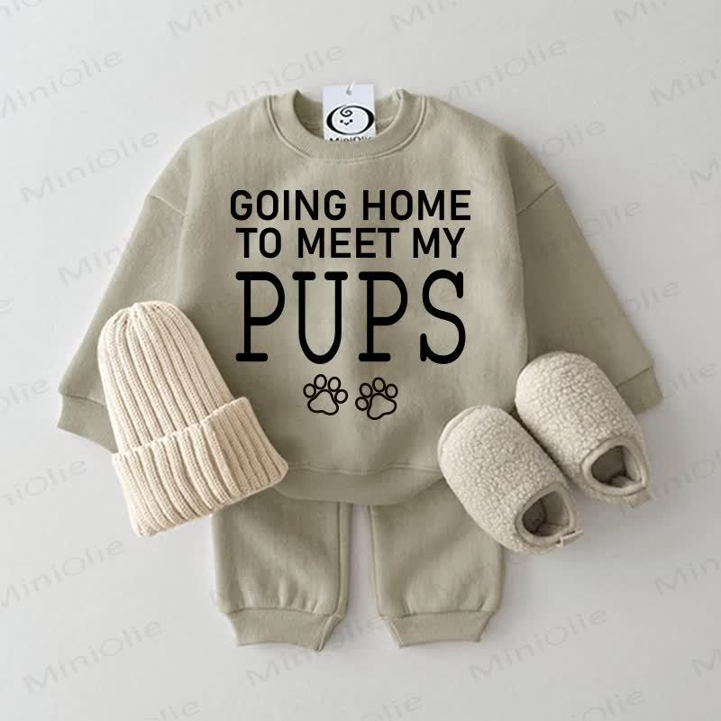 GOING HOME TO MEET MY PUPS Baby Grey Green 2-piece Set - Grey Green - 2-3T - image 1