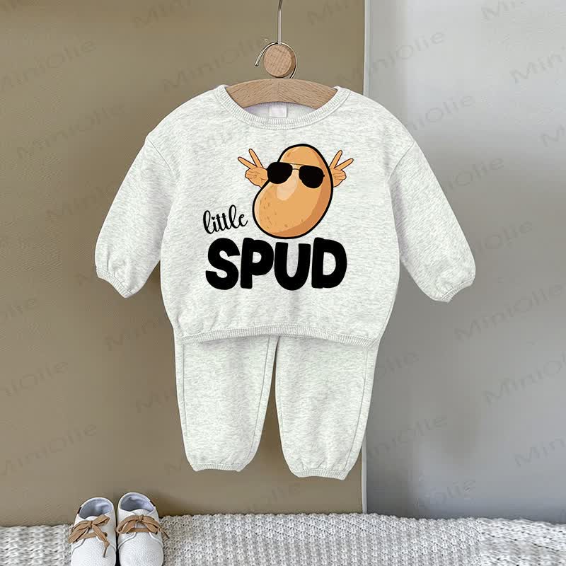 LITTLE SPUD Baby Gray Sweatshirt 2-piece Set - Gray - 2-3T - image 1