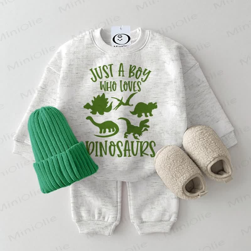 JUST A BOY WHO LOVES DINOSAURS Baby Sweatshirt 2-piece Set - Grey White - 2-3T - image 2