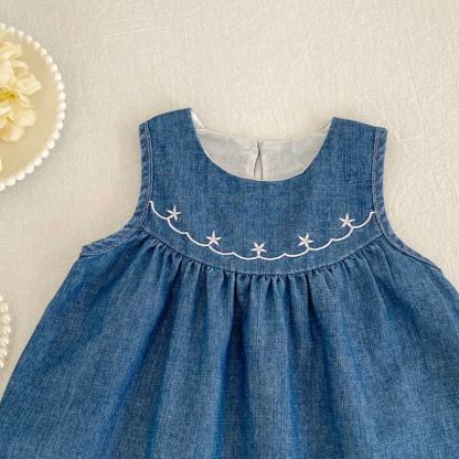 Baby Chambray Embroidered Sleeveless Dress - image 3