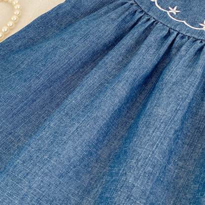 Baby Chambray Embroidered Sleeveless Dress - image 5