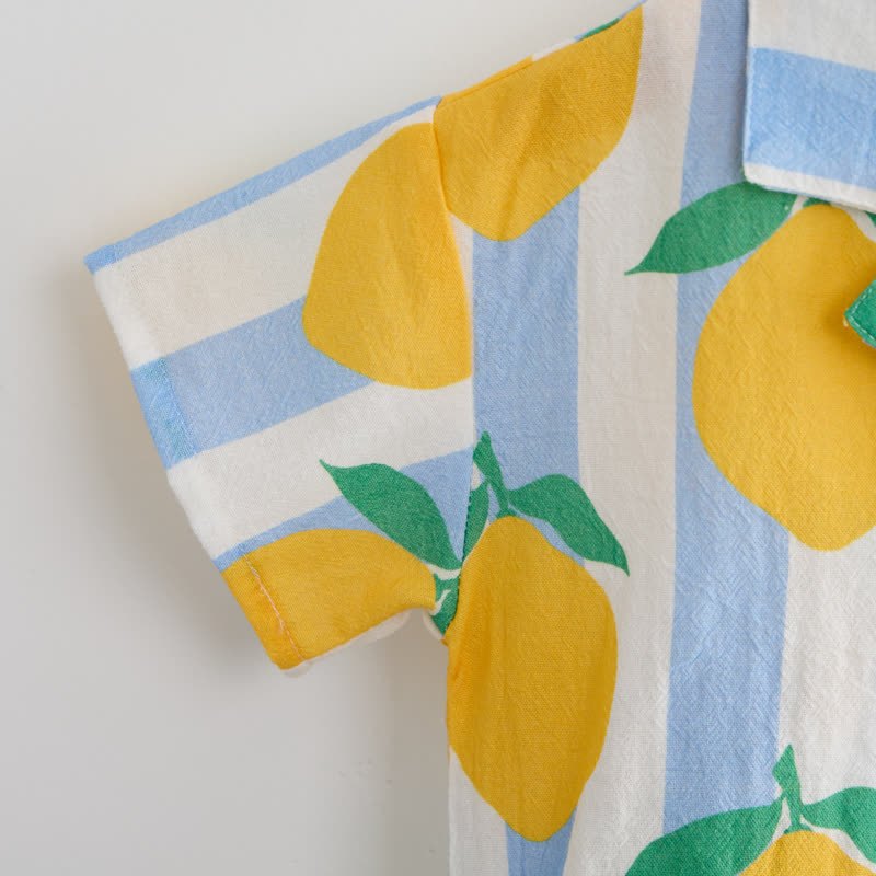 Baby Toddler Lemon Stripe Shirt and Shorts 2-piece Set - image 5