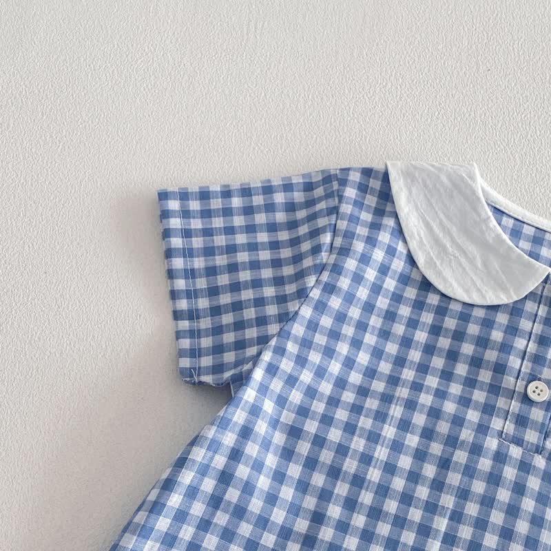 Baby Toddler Blue Gingham Duck Print Top and Shorts 2-piece Set - image 5