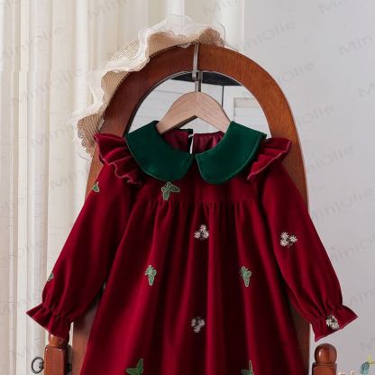 Toddler Girl Floral-patterned Butterfly Velvet Dress - image 5