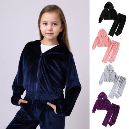 Toddler Soft Velour Zip Hoodie and Pants 2-piece Set - image 1