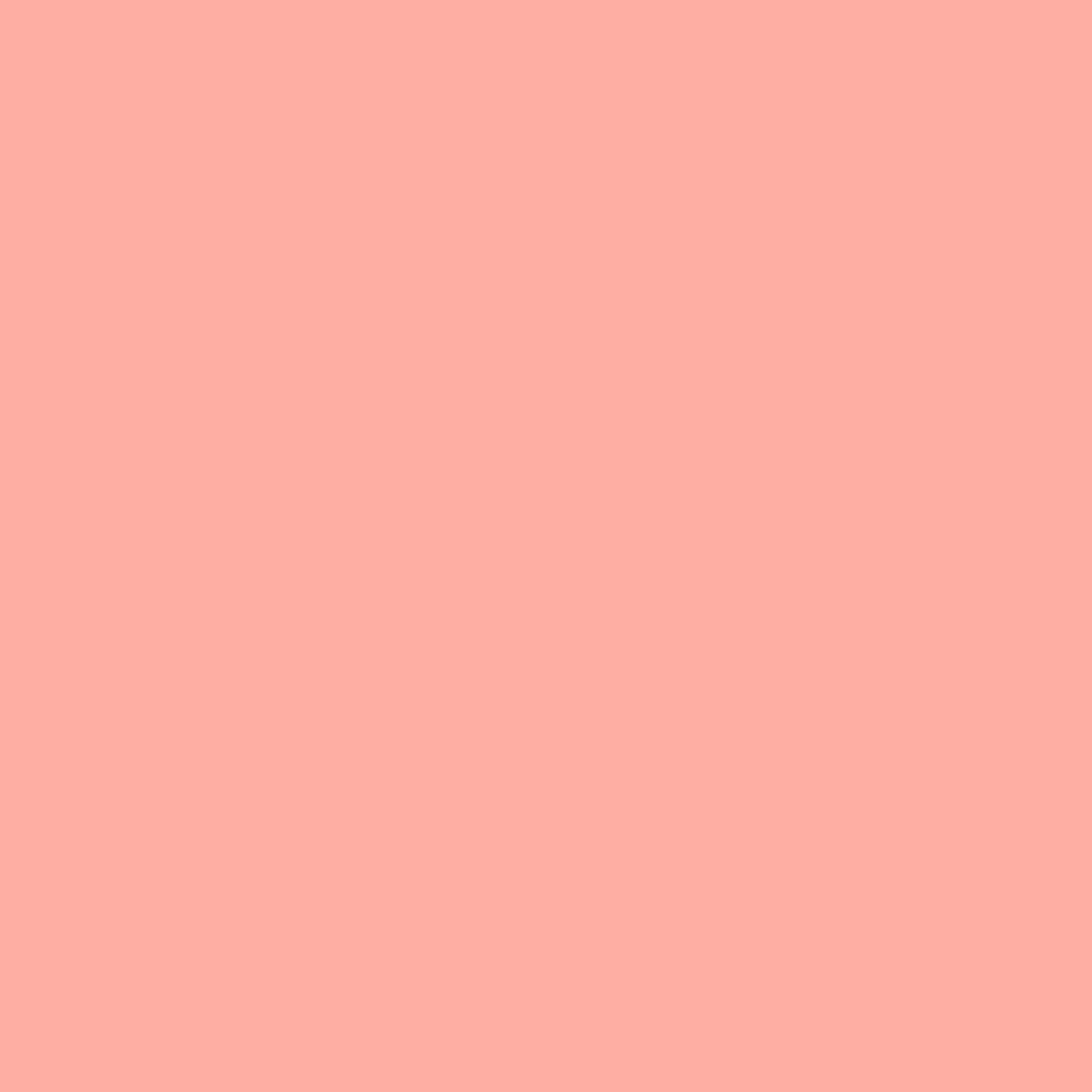 Basics Shop