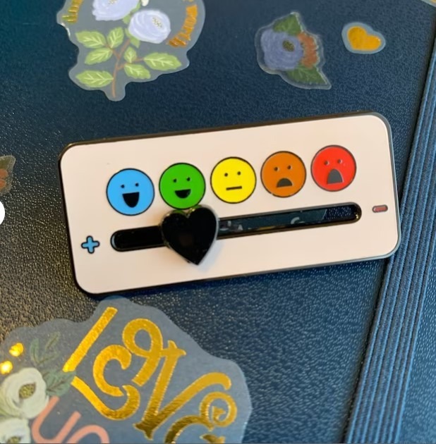 🔥HOT NEW RELESEA🔥-Self Regulation Pin