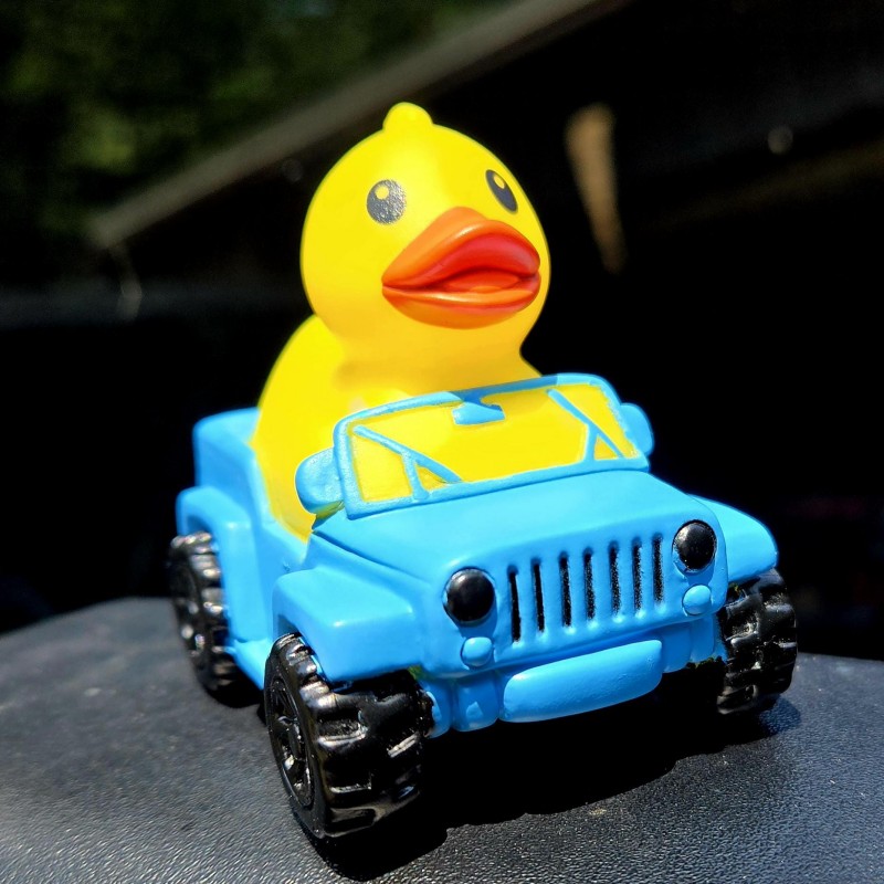 🦆Rubber Duck Driver