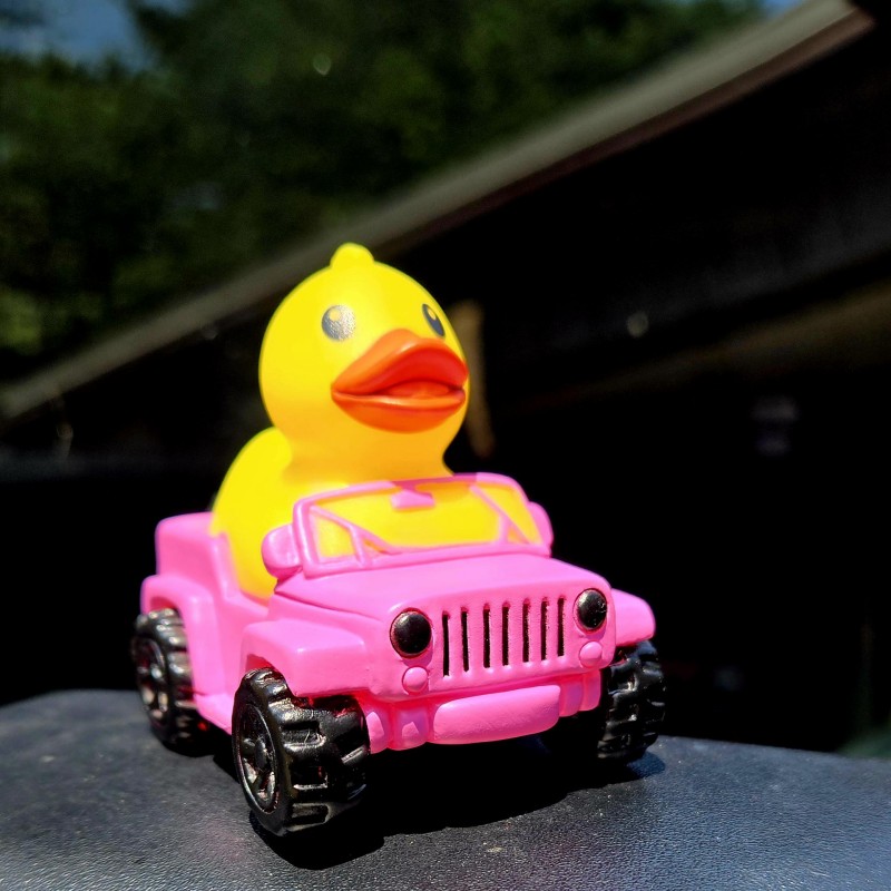 🦆Rubber Duck Driver