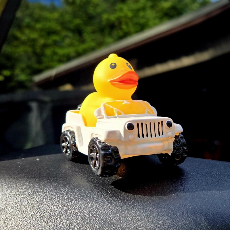 🦆Rubber Duck Driver