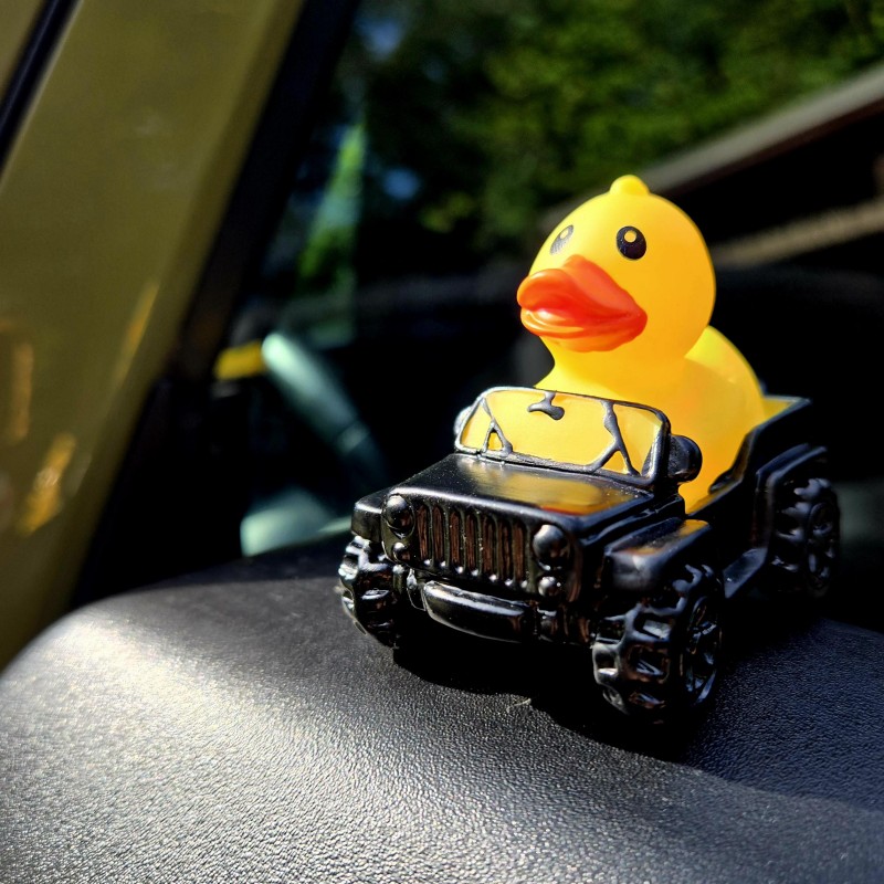 🦆Rubber Duck Driver