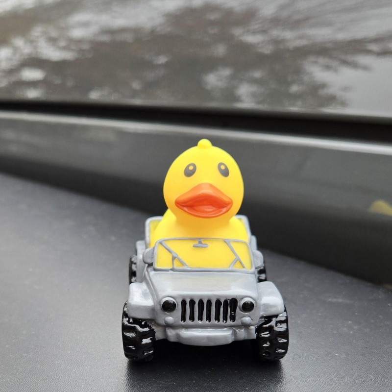 🦆Rubber Duck Driver