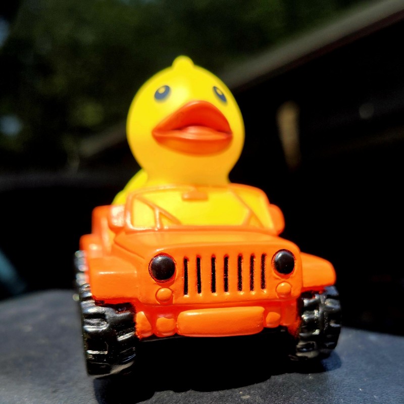🦆Rubber Duck Driver
