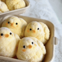 Chick Super Soft Squishy🐣