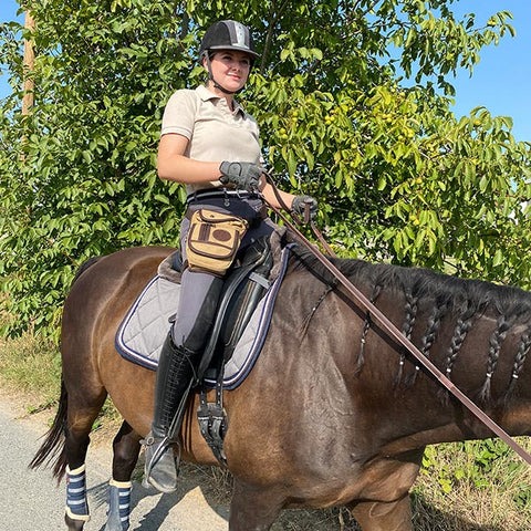 Ridebag- Classic V.2