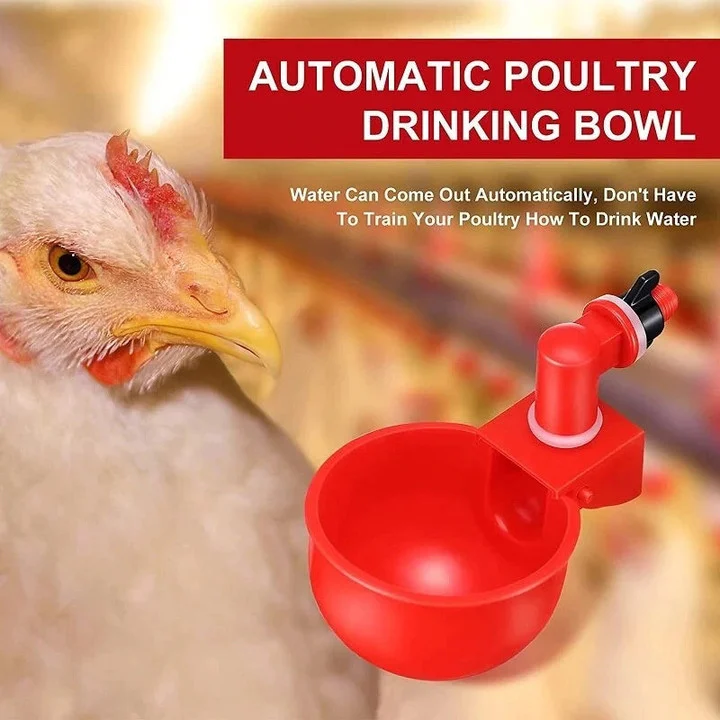 🔥Last Day 50% OFF🔥Poultry Automatic Drinking Bowl