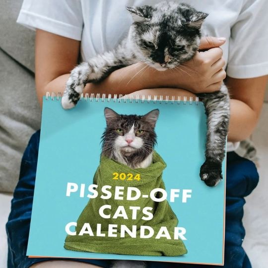 2024 Pissed-Off Cats Calendar - Ferociously Funny