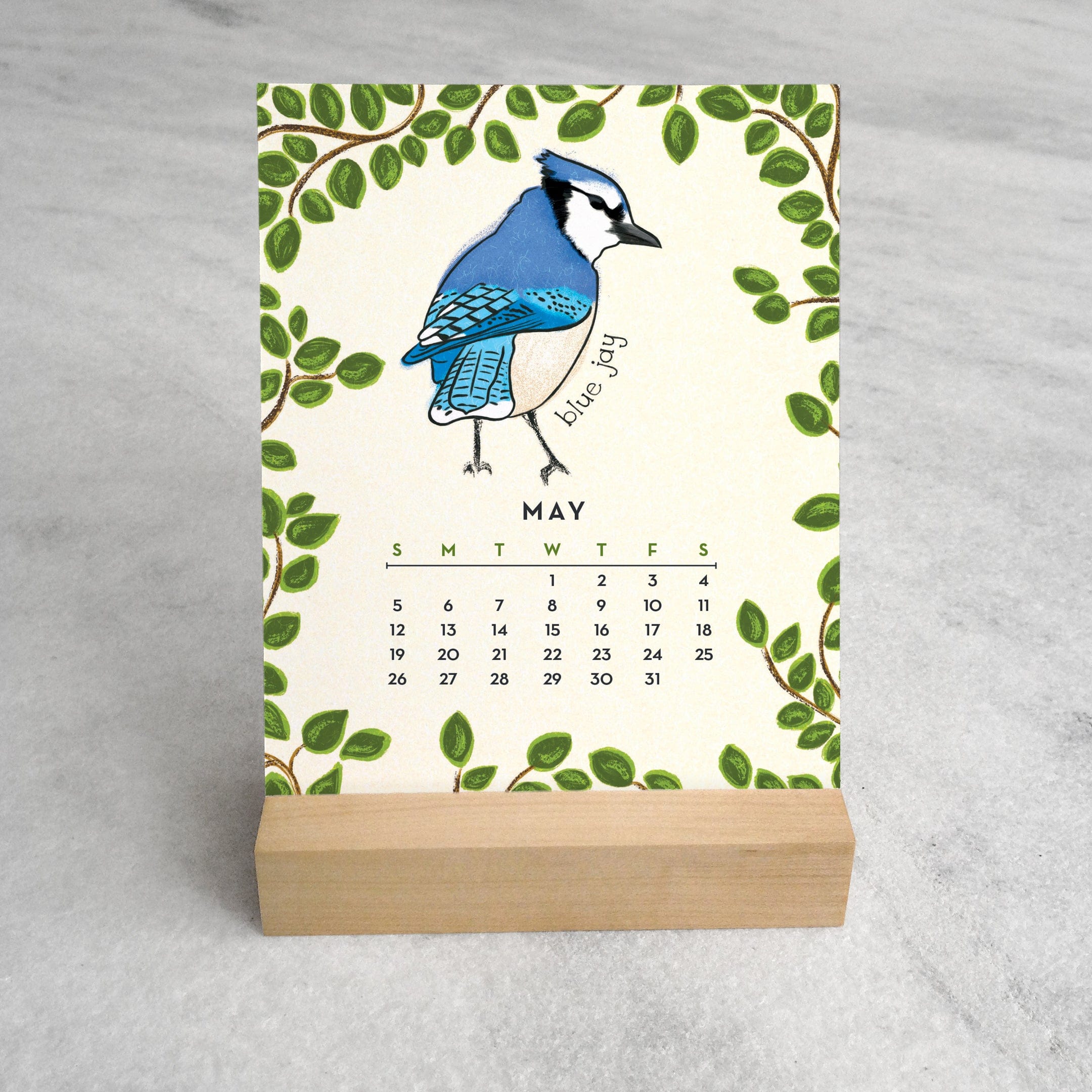 🐦FEATHERED FRIENDS 2024 DESK CALENDAR📅