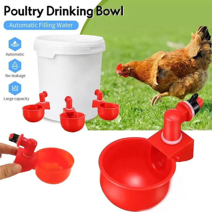 🔥Last Day 50% OFF🔥Poultry Automatic Drinking Bowl