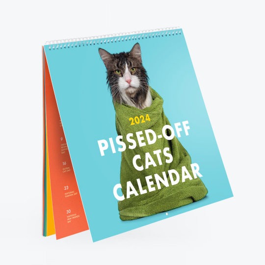 2024 Pissed-Off Cats Calendar - Ferociously Funny