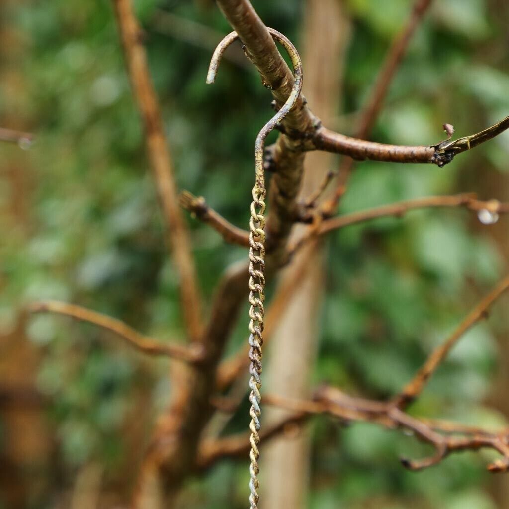 HOT🐦Vintage Hanging Heart Garden Bird Feeder