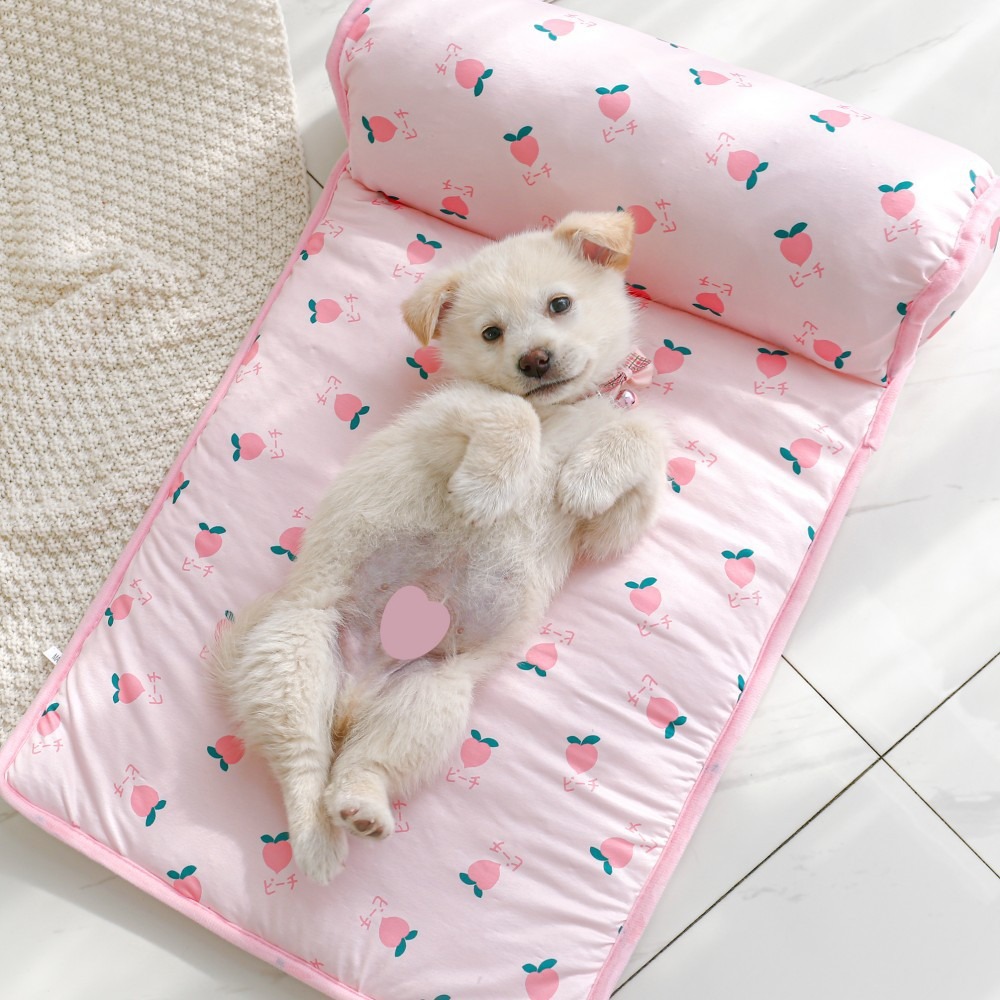 🔥Summer Offer 49% OFF🔥Pet Cooling Bed🐶🐱