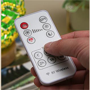 🎨Romantic and Freedom-Bohemia & Baroque Nightlight