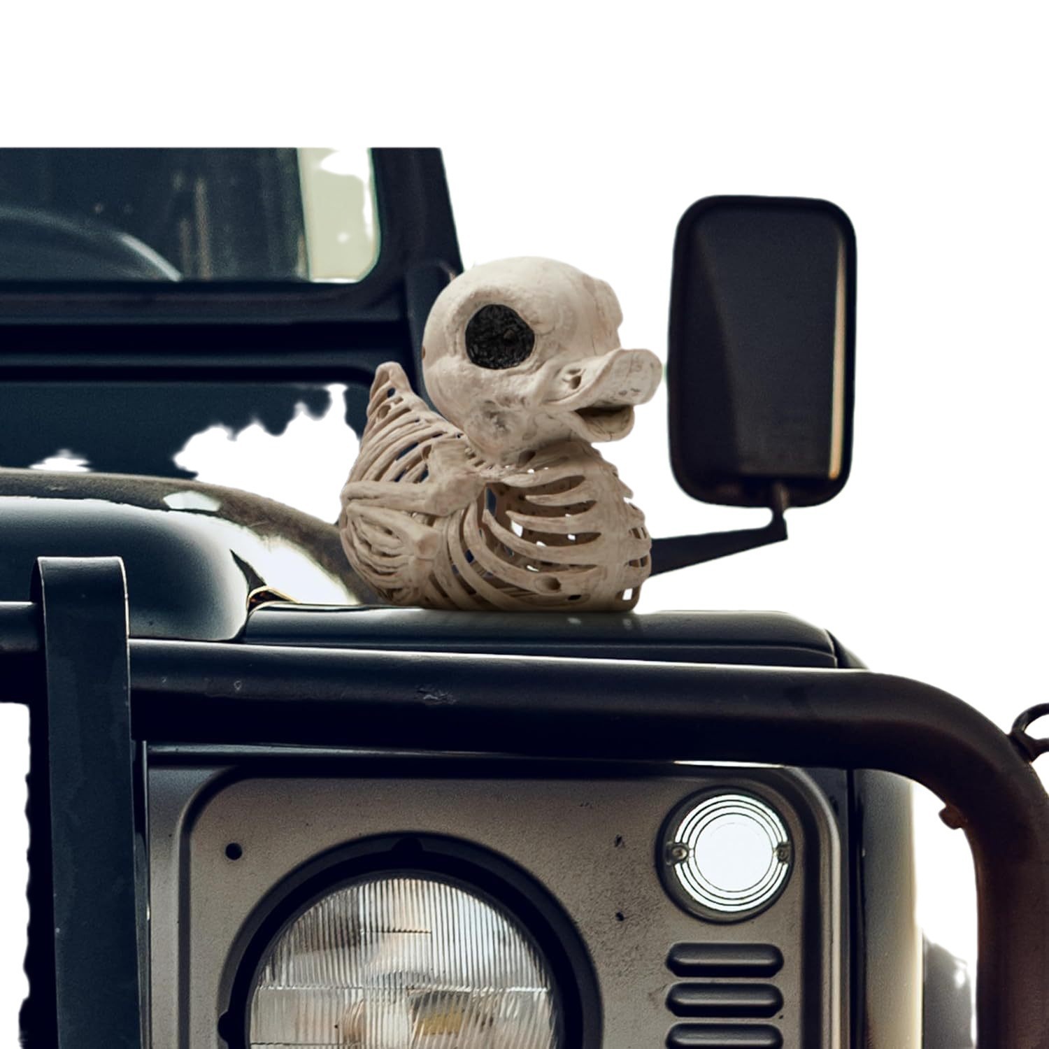 🦆💀"Quack-tacular Spookiness: Skull Duck Figurines for a Hauntingly Good Halloween!"