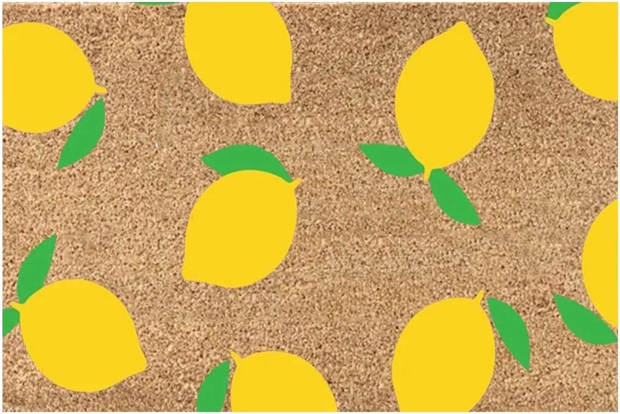 🔥LAST DAY PROMOTION 🔥 Summer Holiday Welcome Floor Doormat🥰