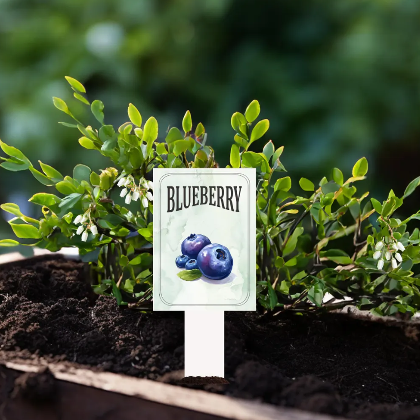 Garden Plant Markers – Waterproof PVC Vegetable Labels for Raised Beds & Garden Rows