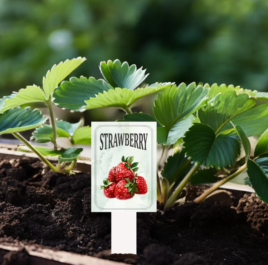 Garden Plant Markers – Waterproof PVC Vegetable Labels for Raised Beds & Garden Rows