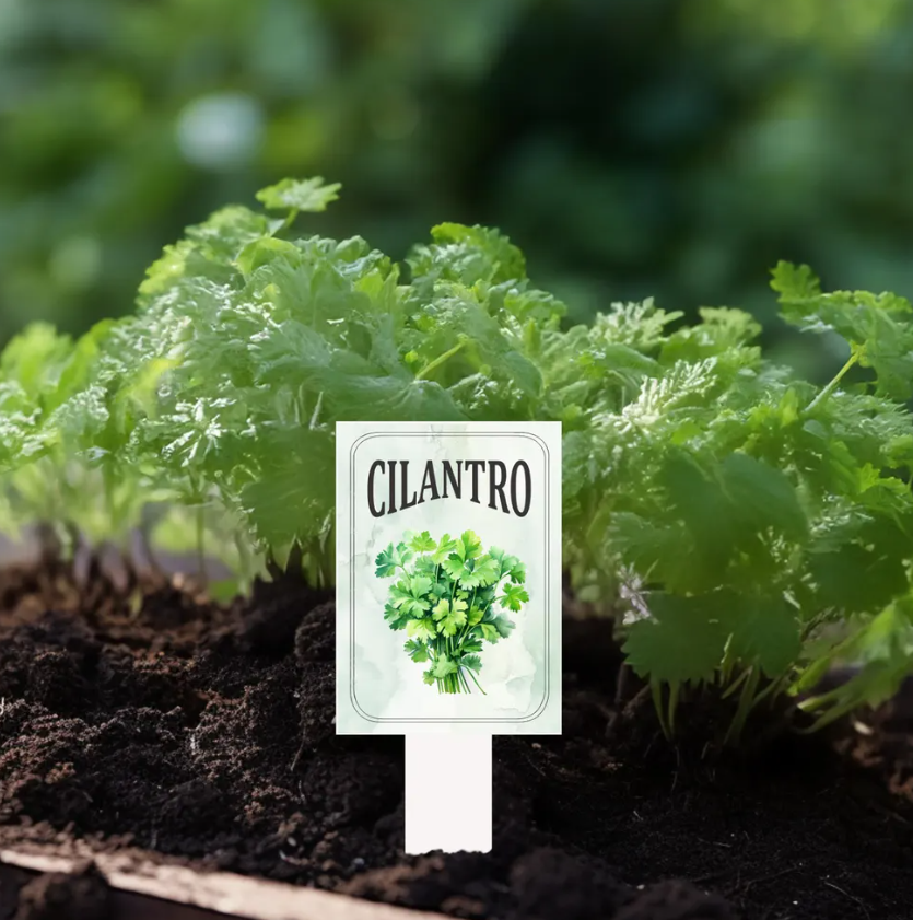 Garden Plant Markers – Waterproof PVC Vegetable Labels for Raised Beds & Garden Rows