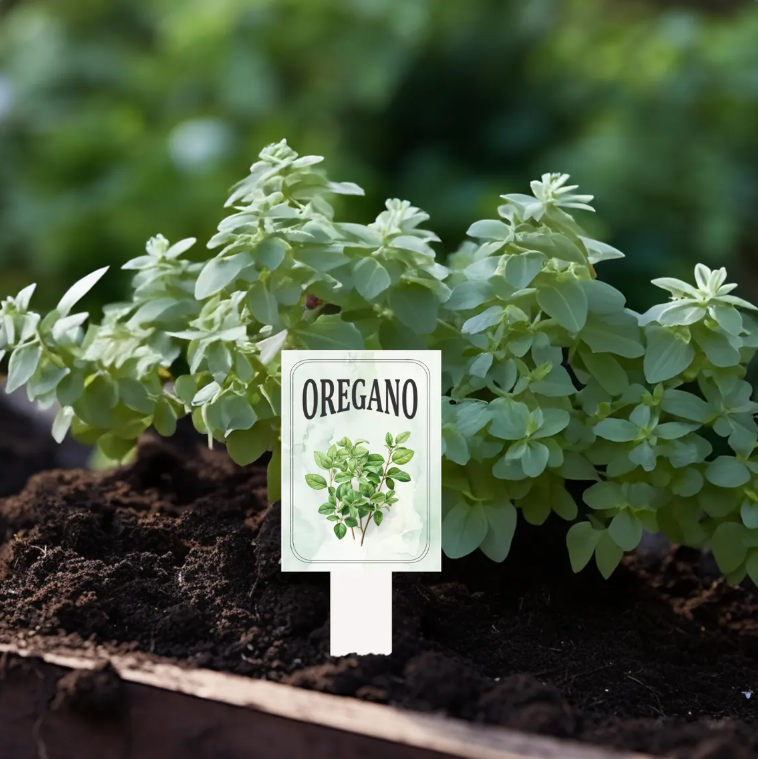Garden Plant Markers – Waterproof PVC Vegetable Labels for Raised Beds & Garden Rows