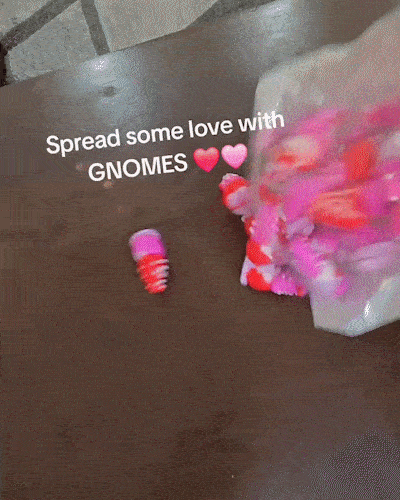 ❤️2026 Valentine’s Day Gifts - Heart Gnomes🎁