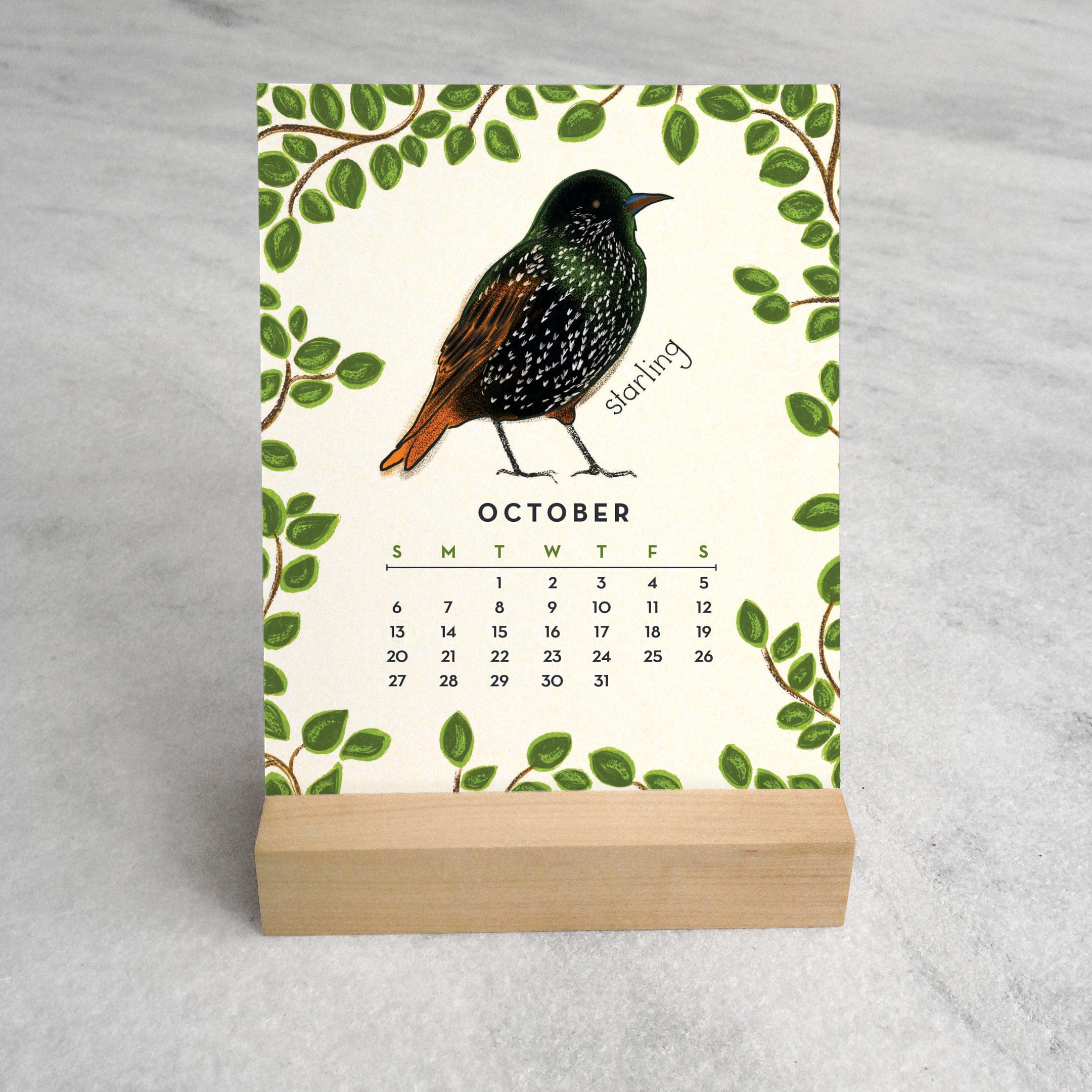 🐦FEATHERED FRIENDS 2024 DESK CALENDAR📅