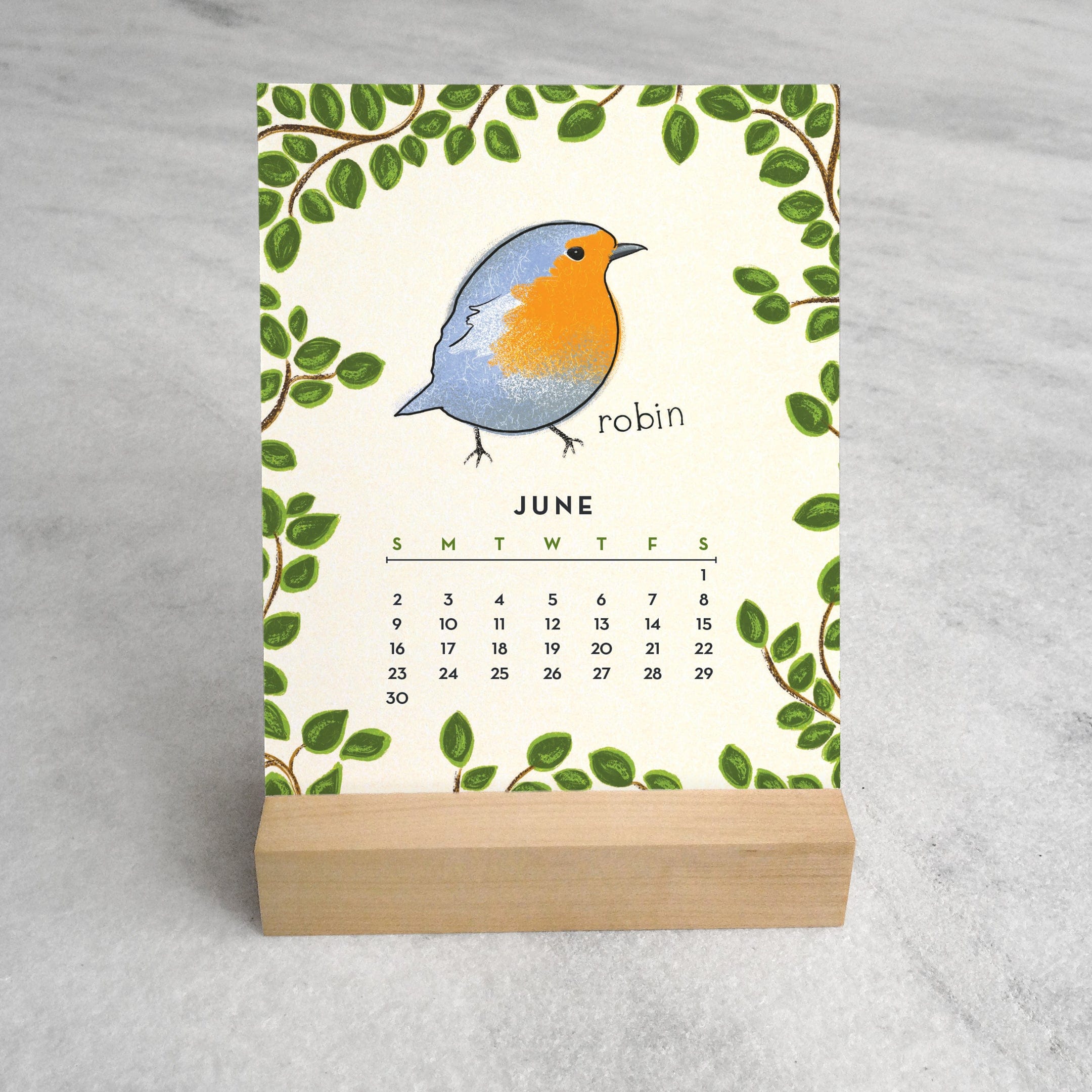 🐦FEATHERED FRIENDS 2024 DESK CALENDAR📅