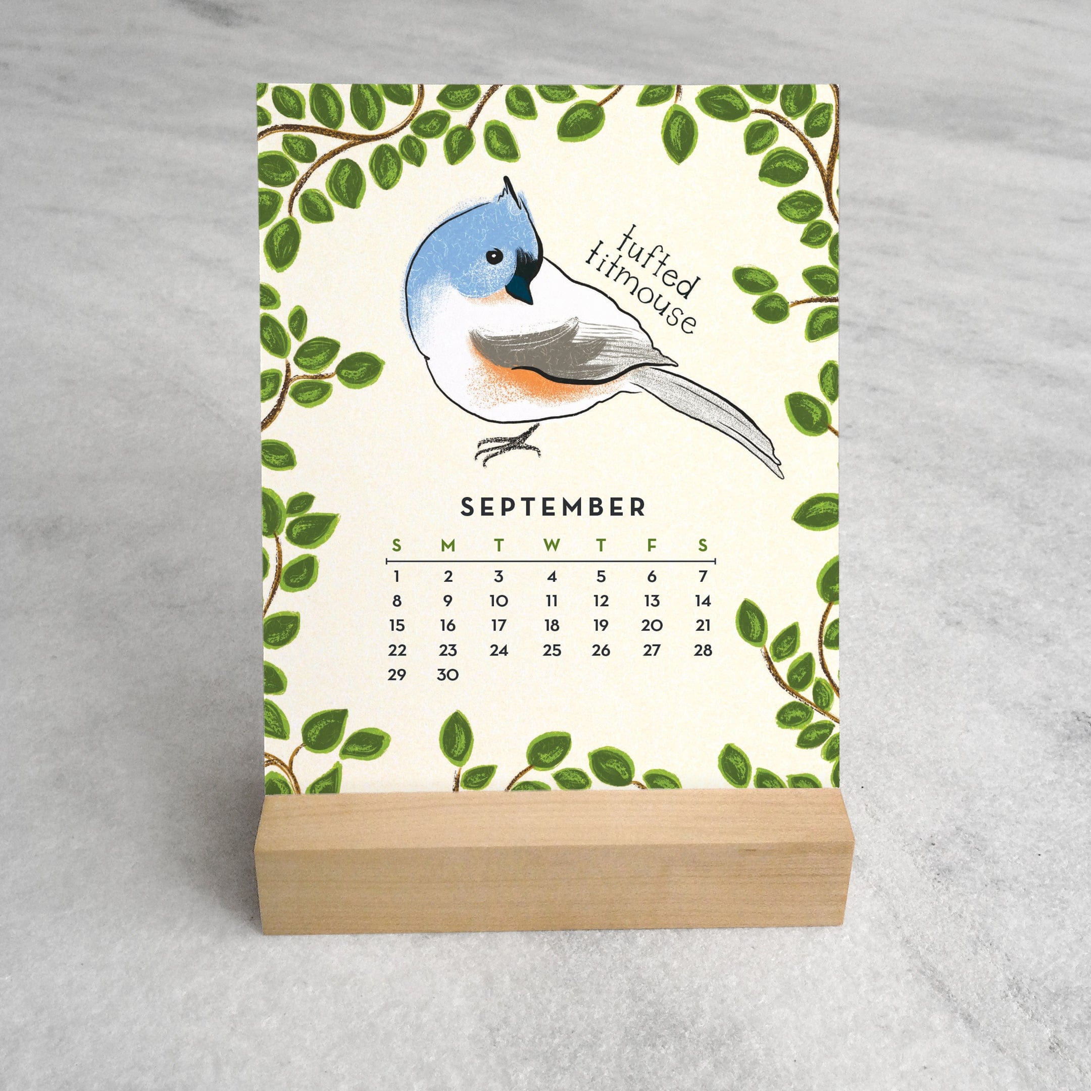 🐦FEATHERED FRIENDS 2024 DESK CALENDAR📅