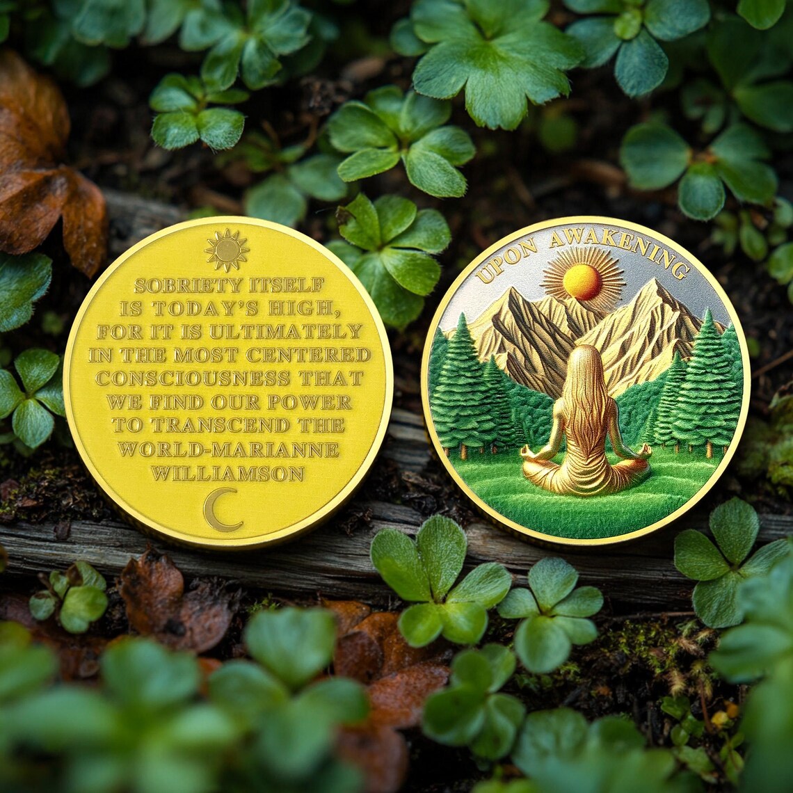 Inspirational Self-Discipline Commemorative Coins