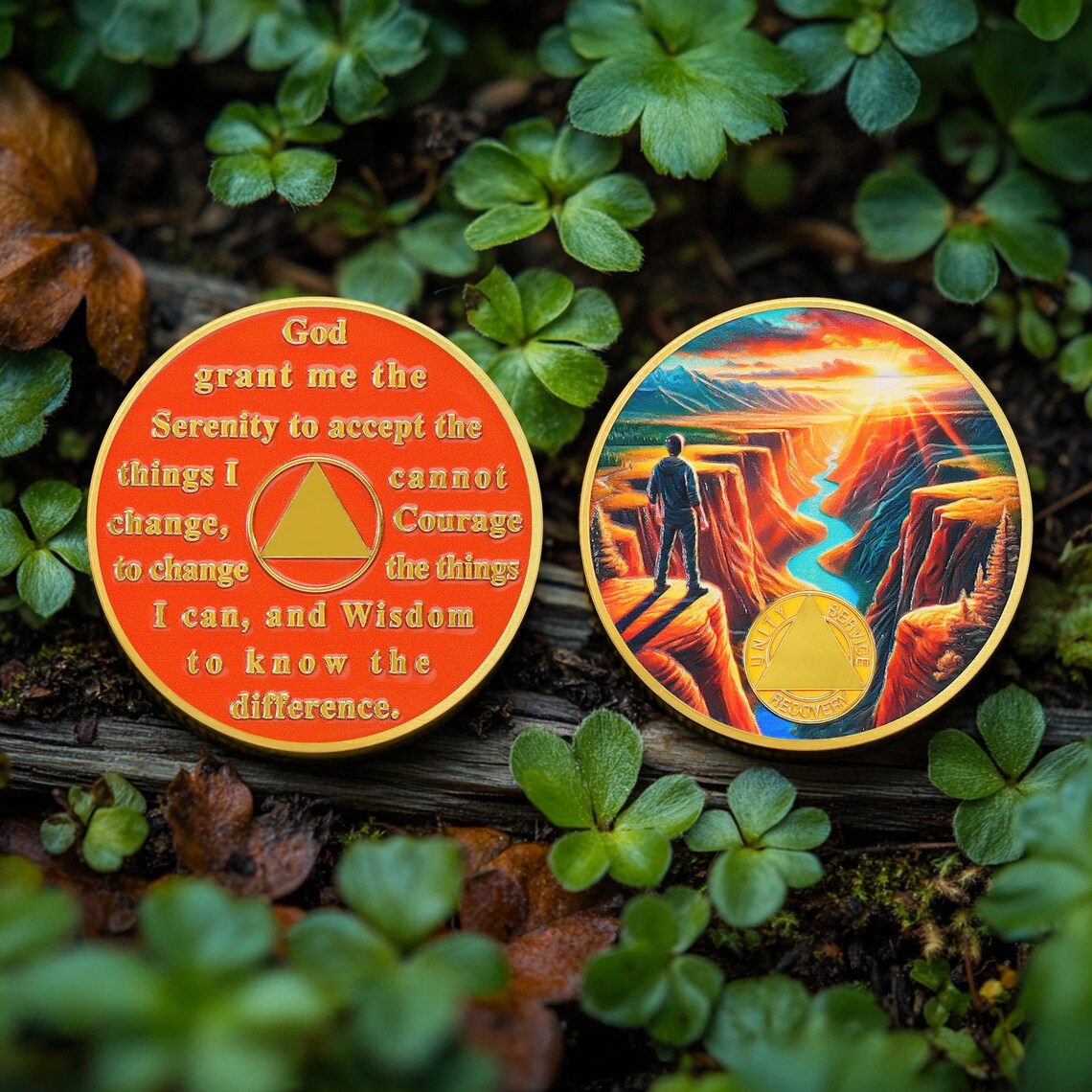 Inspirational Self-Discipline Commemorative Coins