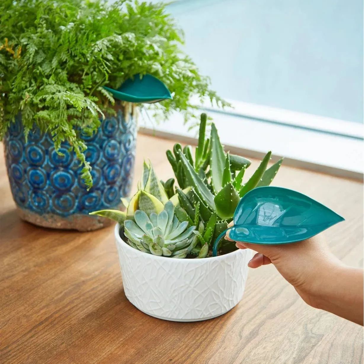 🔥Summer Hot Sale🔥Watering Leaves🌱