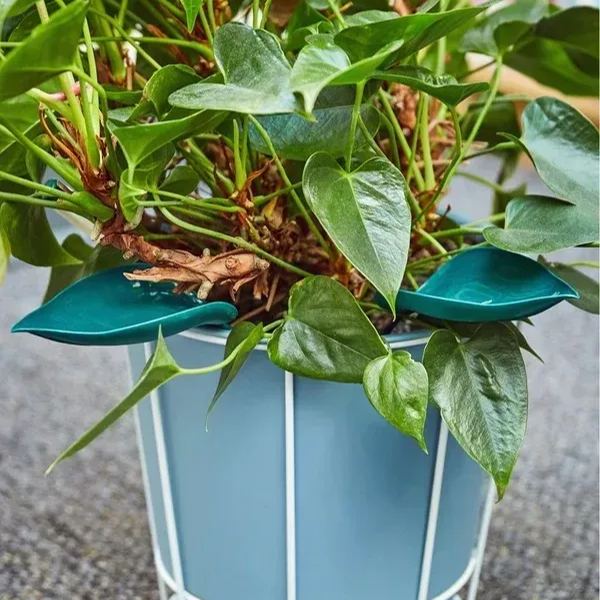 🔥Summer Hot Sale🔥Watering Leaves🌱