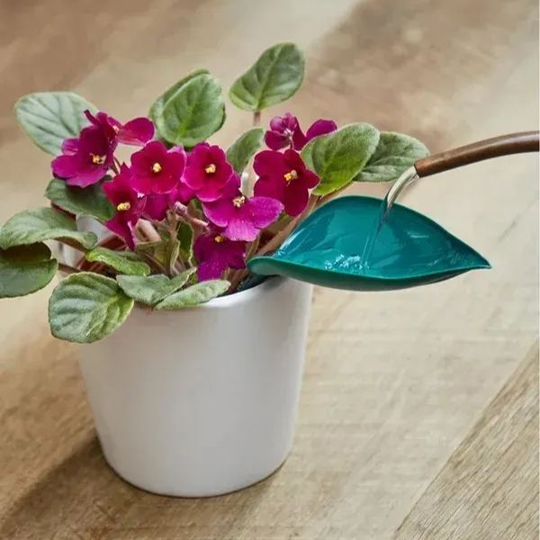 🔥Summer Hot Sale🔥Watering Leaves🌱