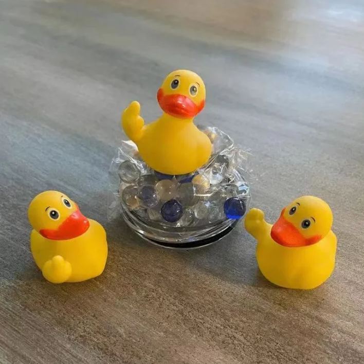 😲Rude Animals Figurine with Middle Finger Series