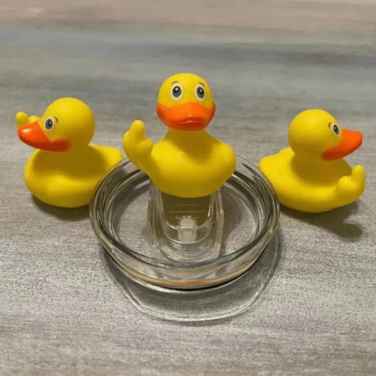 😲Rude Animals Figurine with Middle Finger Series