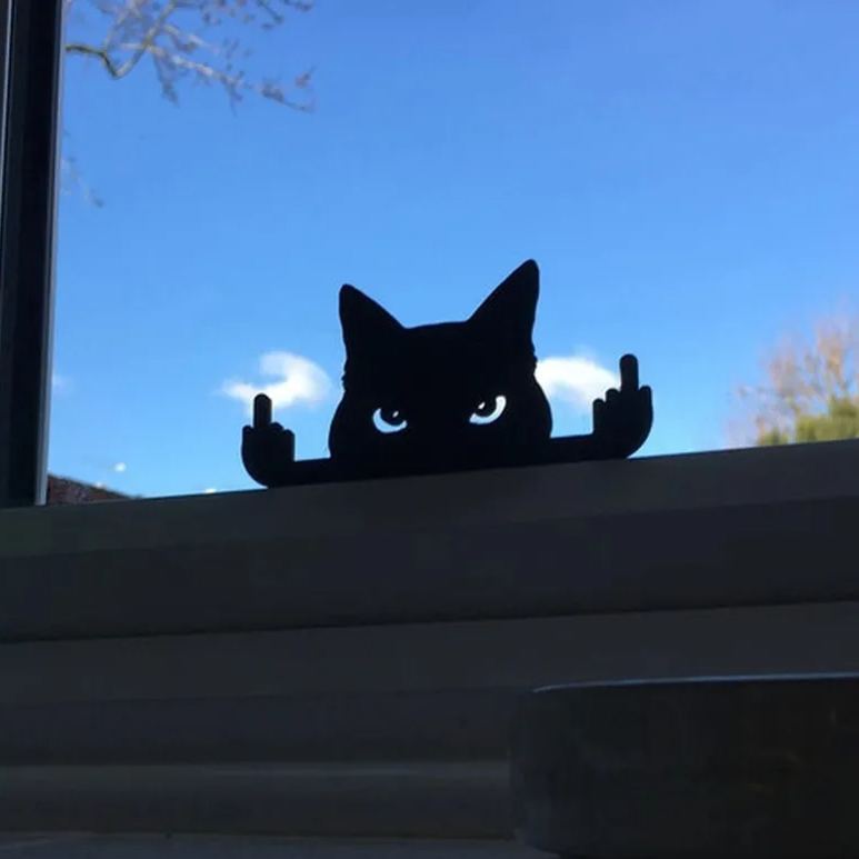 😲Rude Animals Figurine with Middle Finger Series