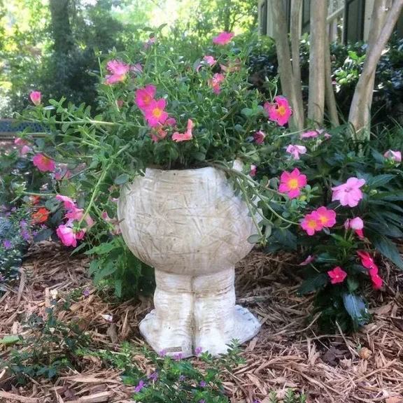 Funny Muggle Family Flowerpot